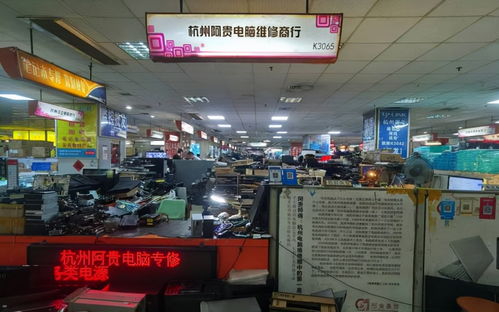 杭州 一代宗师 靠修电脑买价值315万元豪车 有人跪求他收徒