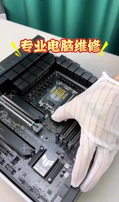 #网站服务器